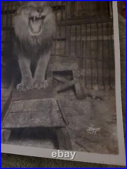 1930 Mgm Leo The Lion Hollywood Movie Icon Symbol Photo Metro Goldwyn Mayer USA