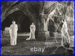 1931 Bela Lugosi UNIVERSAL Studios, Dracula Brides, Original Movie still Photo