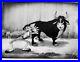 1938 Walt Disney Ferdinand The Bull Cartoon Movie Bullfighter Hollywood Film