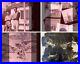 1950s Lot 500 + B&W Photo Negatives Sailors Swim Beach Pool Gay San Fransisco