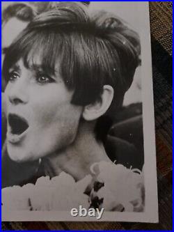 1966 Audrey Hepburn Photo Hollywood Actress Movie Star Famous Film Icon Legend