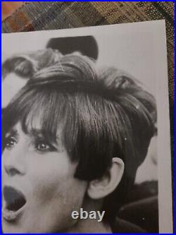 1966 Audrey Hepburn Photo Hollywood Actress Movie Star Famous Film Icon Legend