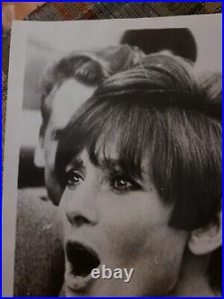 1966 Audrey Hepburn Photo Hollywood Actress Movie Star Famous Film Icon Legend