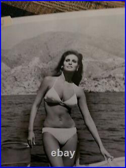 1967 Raquel Welch Bikini Photo Fathom Movie Hollywood Actress Sex Symbol Model