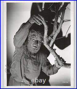 LON CHANEY JR. THE WOLF MAN Horror Film 1941 ORIGINAL Vtg. Press Photo