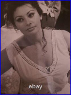 Sophia Loren Italian Goddess Photo Sex Symbol Hollywood Film Legend Actress Rome