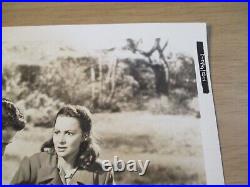 VINTAGE 1950 MOVIE 8 x 10 Photo'The SNAKE PIT'OLIVIA de HAVILLAND