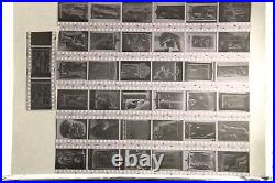 Vintage Film Negatives Huge Lot 350 pcs! Greece Archaelogy